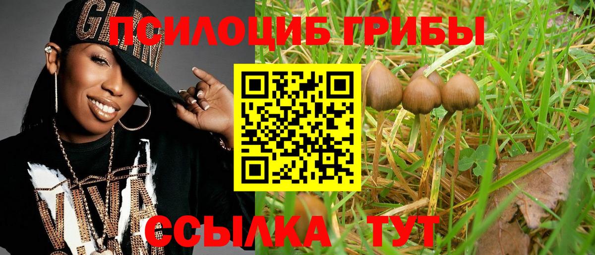 Псилоцибиновые грибы мицелий Кирово-Чепецк