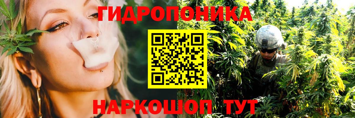 Каннабис Amnesia Кирово-Чепецк